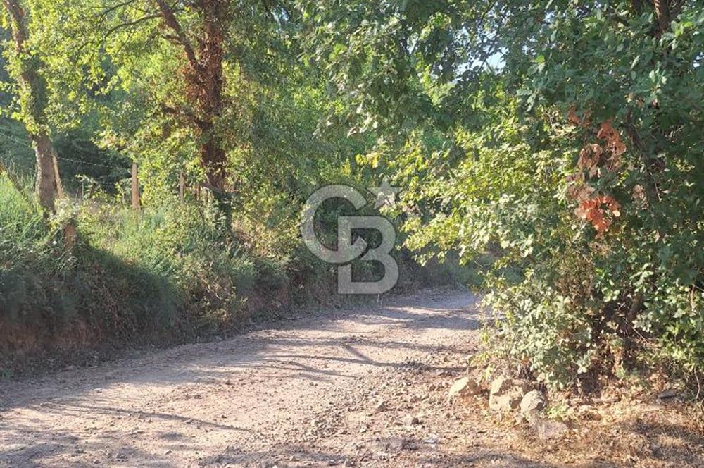 Yalova Çiftlikköy Lalederede Köyiçi İmarlı Arsa - 577 M²