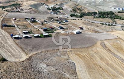 Ankara Bala Yolu Üzerinde 10 Dönüm, Anayol Kenarı