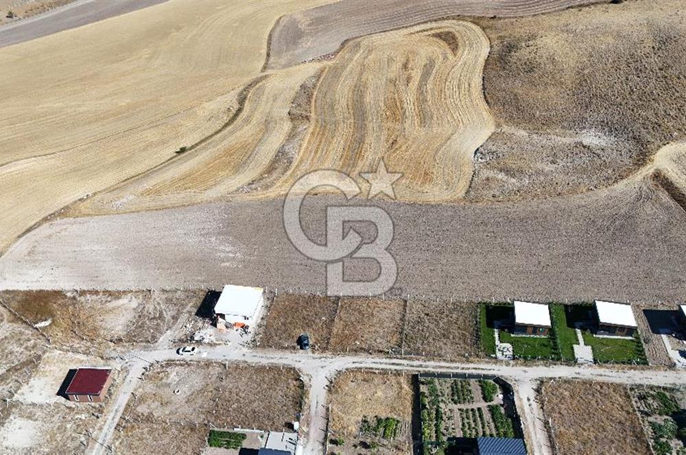 Ankara Bala Yolu Üzerinde 10 Dönüm, Anayol Kenarı