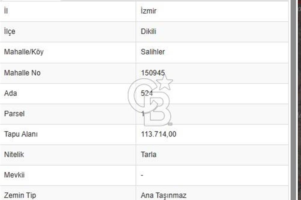 İZMİR DİKİLİ SALİHLERDE SATILIK 500 M² ARSA 