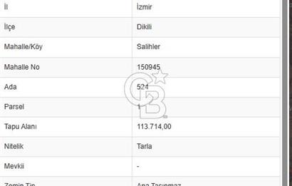 İZMİR DİKİLİ SALİHLERDE SATILIK 500 M² ARSA 