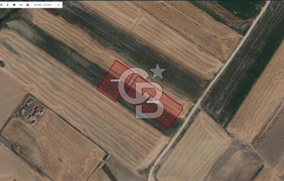 SİNCAN TEMELLİ MALIKÖY TEK TAPU SATILIK ARSA