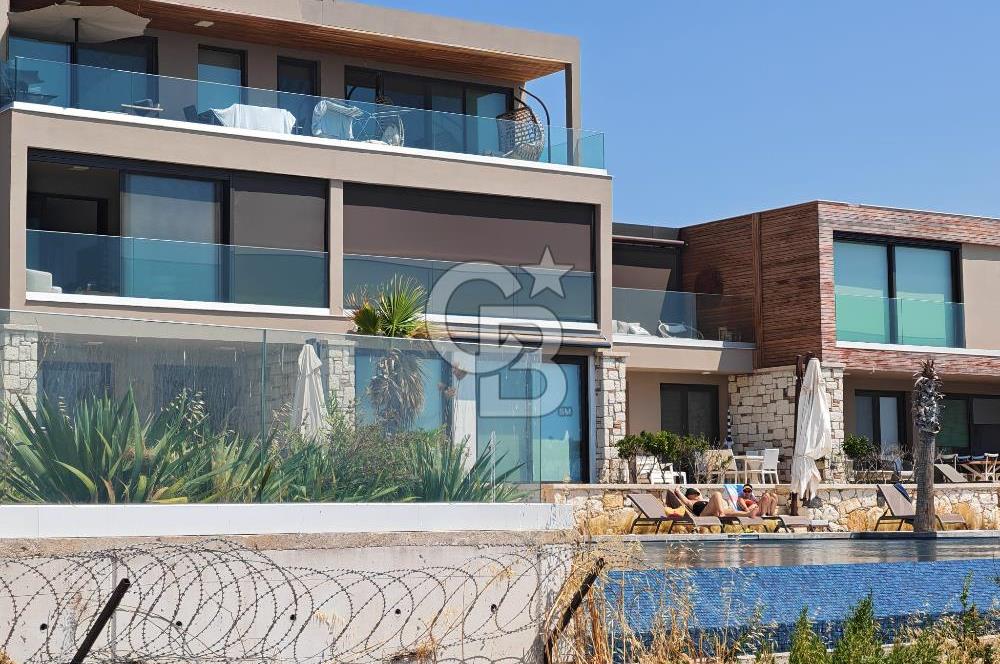 İnvectus Blue Point Satılık 2+1