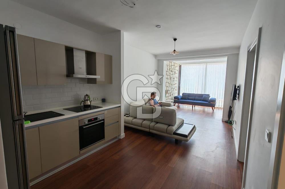 İnvectus Blue Point Satılık 2+1