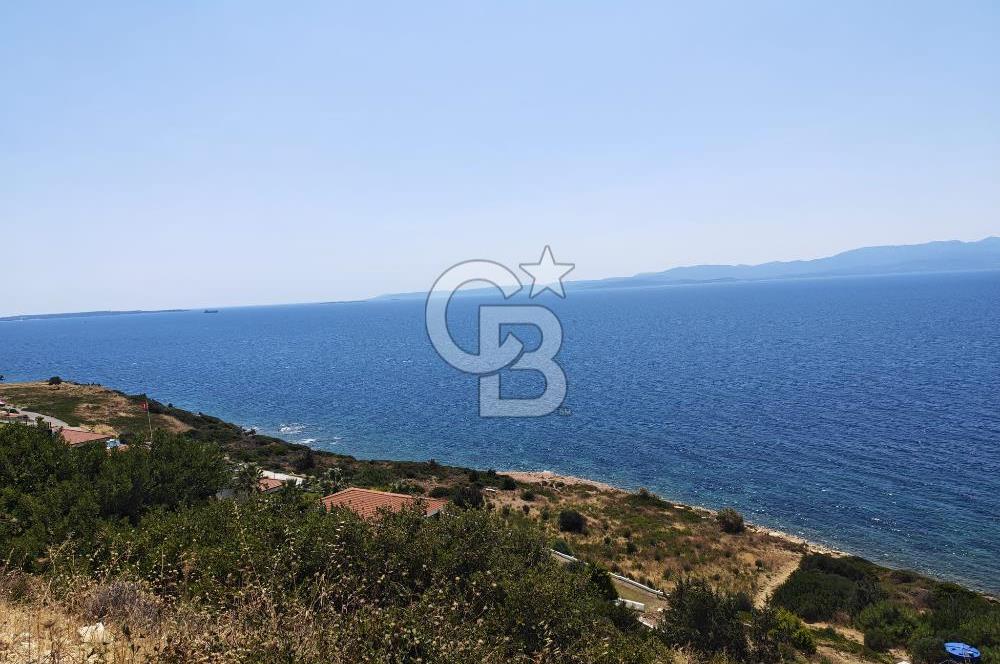 İnvectus Blue Point Satılık 2+1