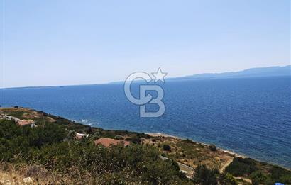 İnvectus Blue Point Satılık 2+1
