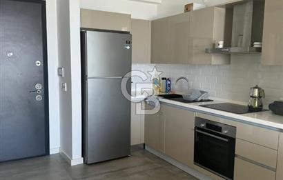 İnvectus Blue Point Satılık 2+1