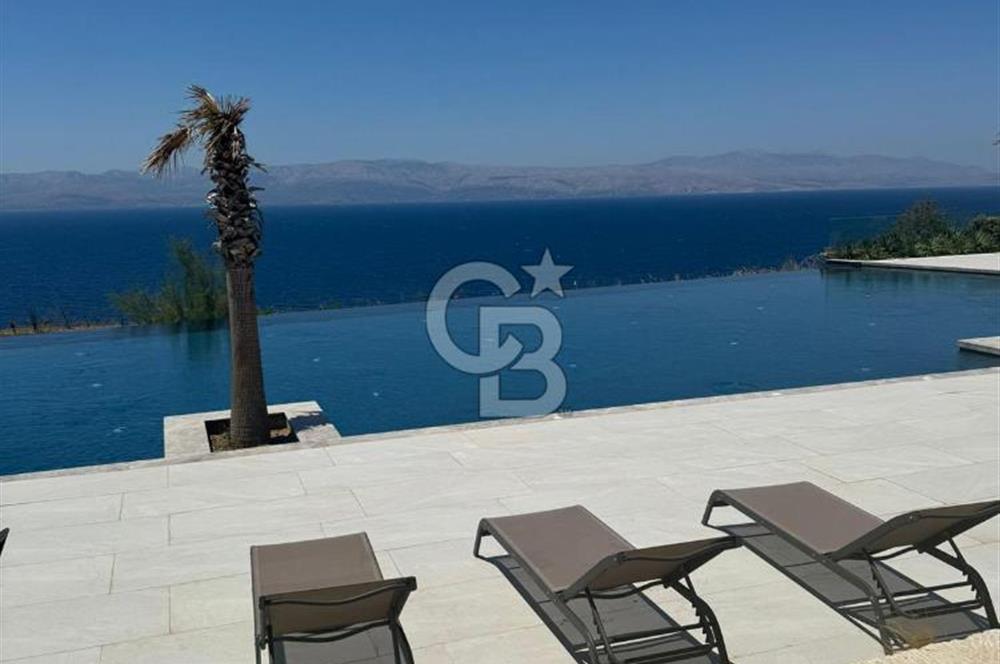 İnvectus Blue Point Satılık 2+1