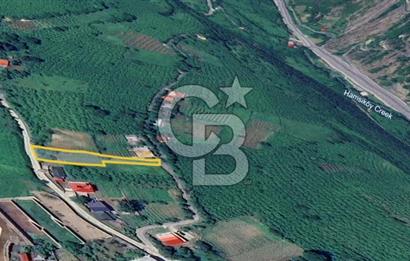 MAÇKA ORTAKÖY'DE 2 CEPHE YOLU OLAN SATILIK ARAZİ