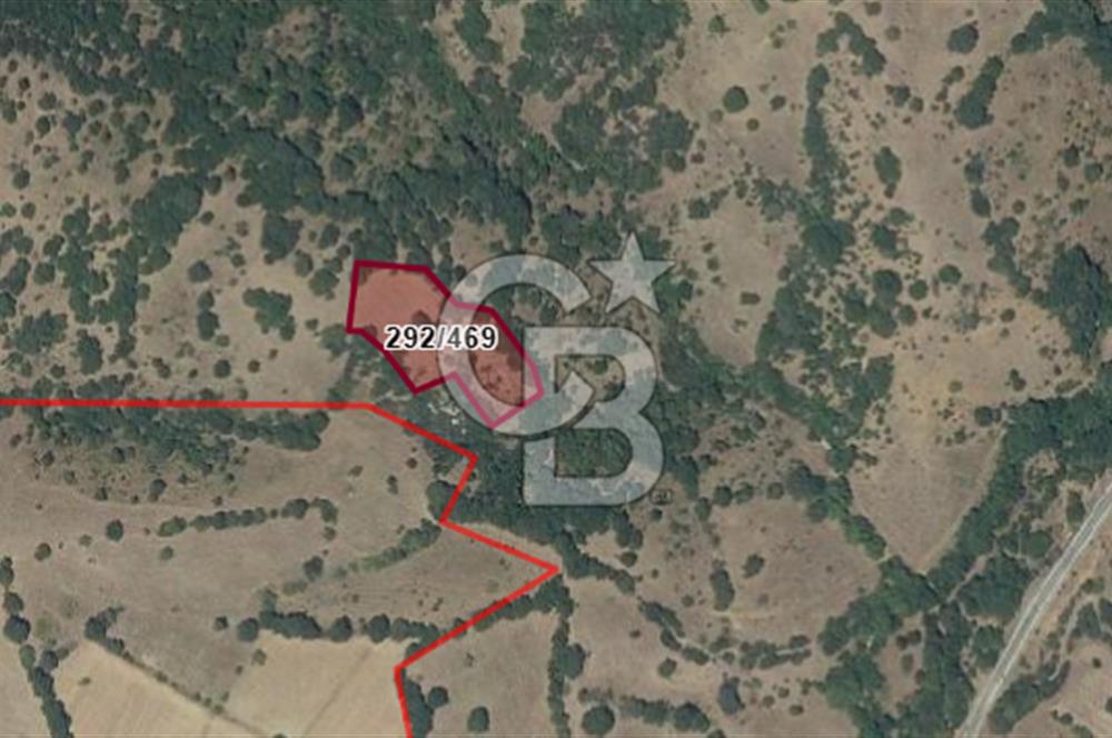 BALIKESİR KEPSUT BÜKDERE'DE SATILIK TARLA