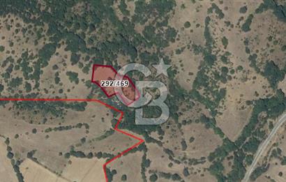 BALIKESİR KEPSUT BÜKDERE'DE SATILIK TARLA