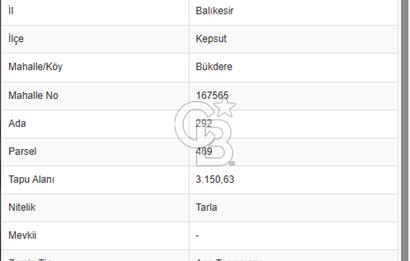 BALIKESİR KEPSUT BÜKDERE'DE SATILIK TARLA