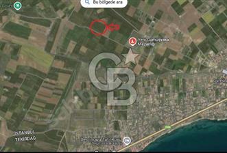 Cb Fly'dan Marmaraereğlisi Çeşmelide 240 m² Tarla Yatırımlık