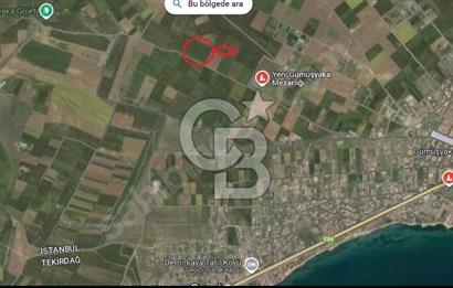 Cb Fly'dan Marmaraereğlisi Çeşmelide 240 m² Tarla Yatırımlık