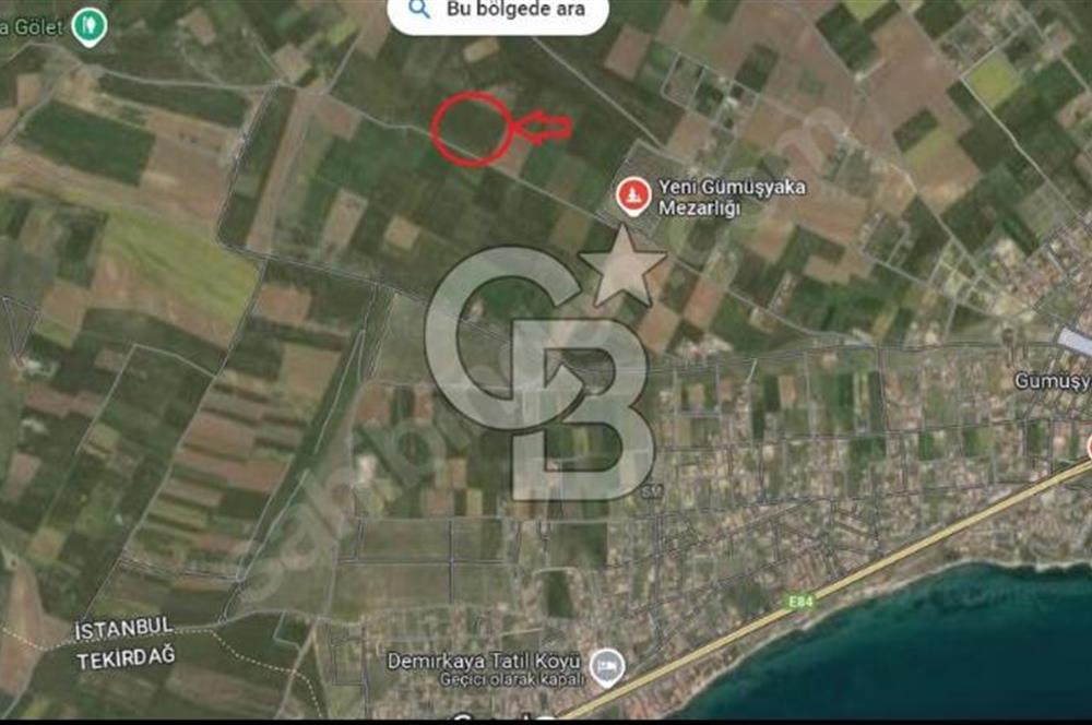 Cb Fly'dan Marmaraereğlisi Çeşmelide 240 m² Tarla Yatırımlık