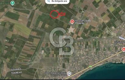 Cb Fly'dan Marmaraereğlisi Çeşmelide 240 m² Tarla Yatırımlık