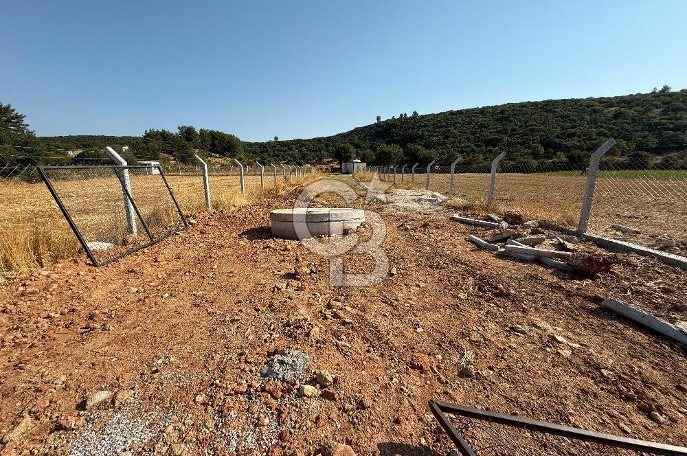 Muğla merkez Akkaya Köyü’nde satılık hobi bahçesi