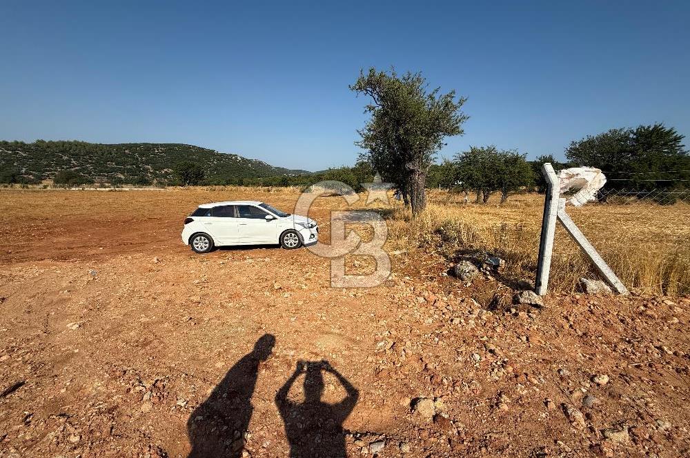 Muğla merkez Akkaya Köyü’nde satılık hobi bahçesi