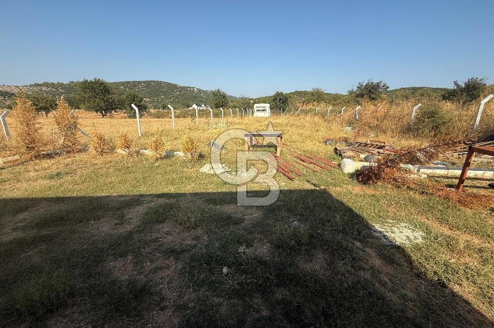 Muğla merkez Akkaya Köyü’nde satılık hobi bahçesi