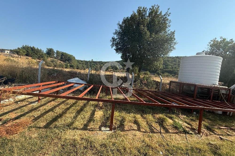 Muğla merkez Akkaya Köyü’nde satılık hobi bahçesi
