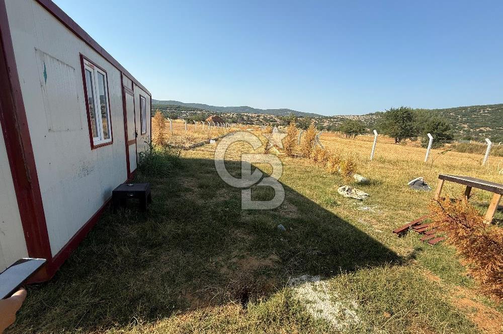 Muğla merkez Akkaya Köyü’nde satılık hobi bahçesi