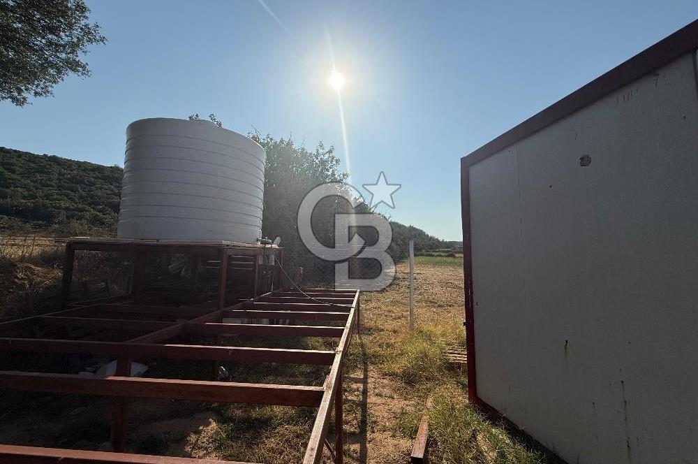 Muğla merkez Akkaya Köyü’nde satılık hobi bahçesi