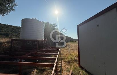 Muğla merkez Akkaya Köyü’nde satılık hobi bahçesi