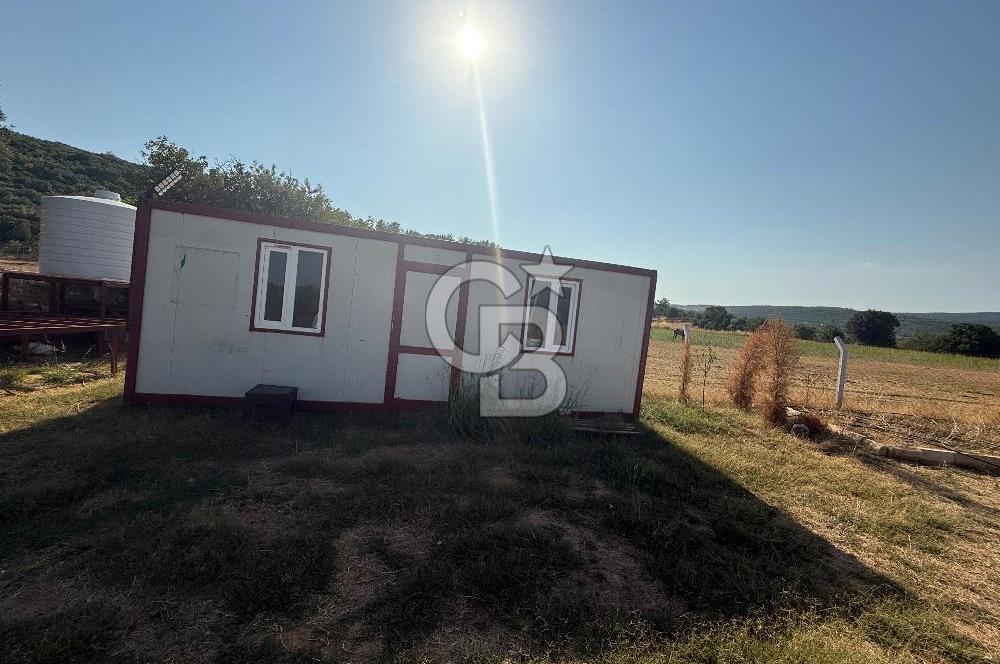 Muğla merkez Akkaya Köyü’nde satılık hobi bahçesi