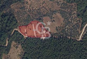 CB İYA'DAN KEMALPAŞA YEŞİLKÖYDE YATIRIMLIK ARSA 