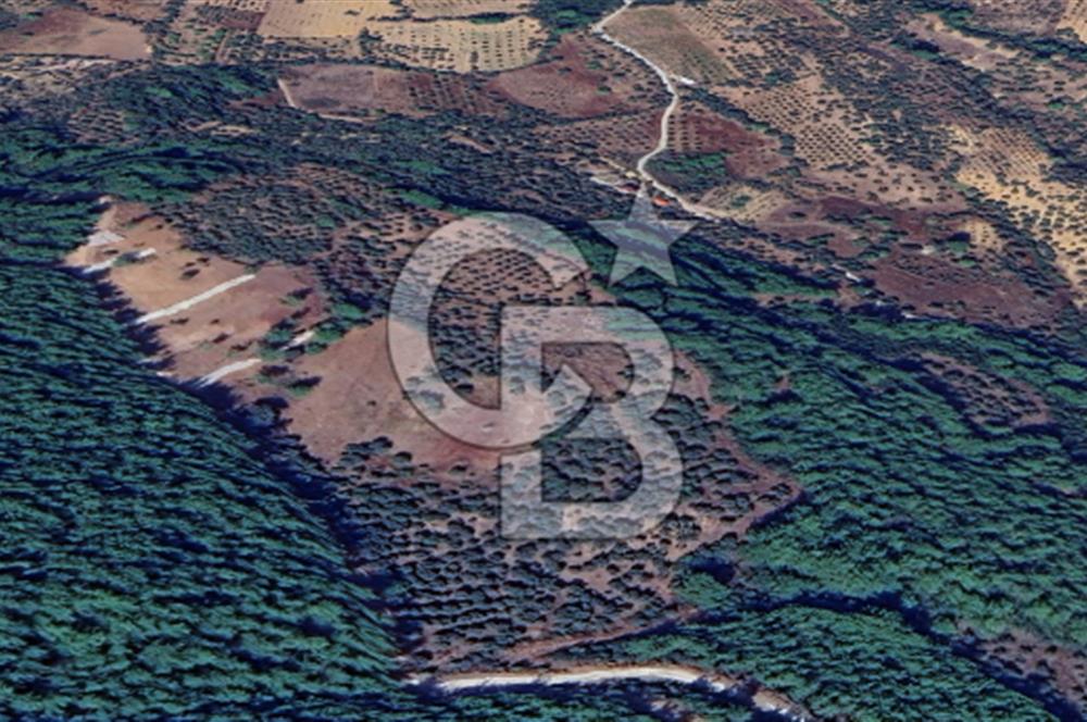 CB İYA'DAN KEMALPAŞA YEŞİLKÖYDE YATIRIMLIK ARSA 