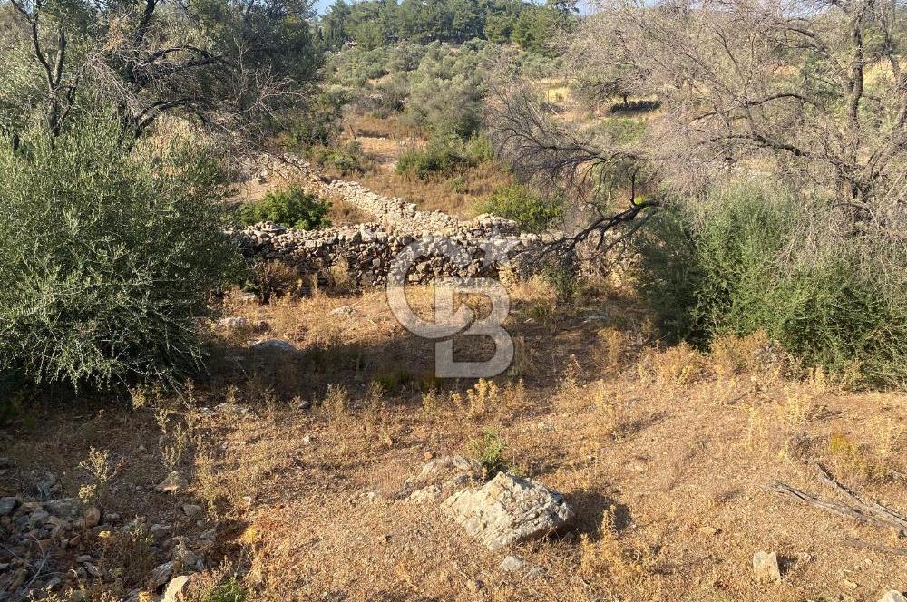 BODRUM - MAZI' DA 338 m2 SATILIK TARLA 