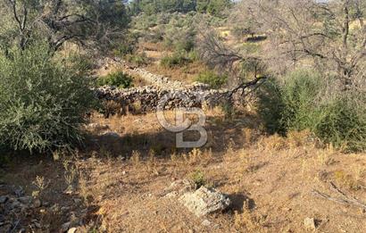 BODRUM - MAZI' DA 338 m2 SATILIK TARLA 