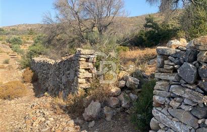 BODRUM - MAZI' DA 338 m2 SATILIK TARLA 