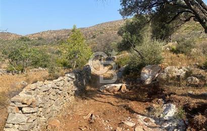 BODRUM - MAZI' DA 338 m2 SATILIK TARLA 