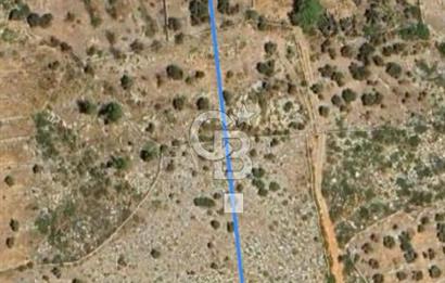 BODRUM - MAZI' DA 338 m2 SATILIK TARLA 