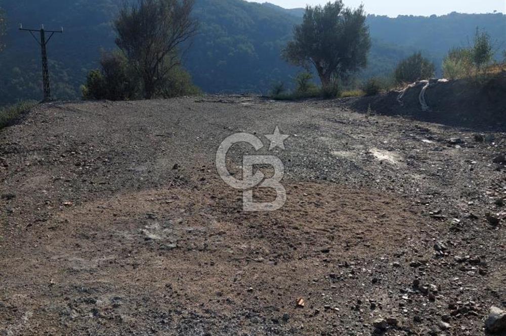 Payamlı’da Temeli Atılmış Çiftlik Evi ve Zeytinlik