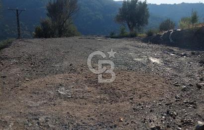 Payamlı’da Temeli Atılmış Çiftlik Evi ve Zeytinlik