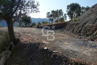 Payamlı’da Temeli Atılmış Çiftlik Evi ve Zeytinlik