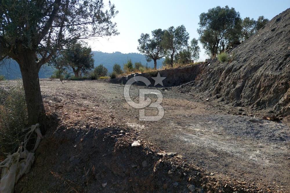 Payamlı’da Temeli Atılmış Çiftlik Evi ve Zeytinlik