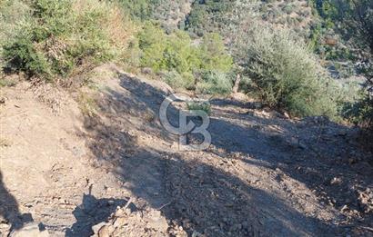 Payamlı’da Temeli Atılmış Çiftlik Evi ve Zeytinlik