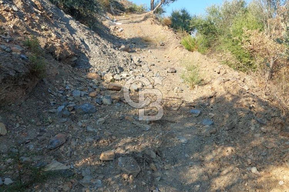 Payamlı’da Temeli Atılmış Çiftlik Evi ve Zeytinlik