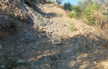 Payamlı’da Temeli Atılmış Çiftlik Evi ve Zeytinlik