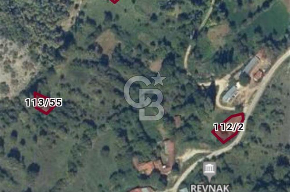 CB ELEGANCE 'DEN REVNAK KÖYÜNDE SATILIK SAMANLIK AVLUSU VE  BAHÇE 