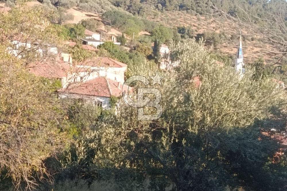 BERGAMA KARAHIDIRLI KÖYÜNDE SATILIK ARSA