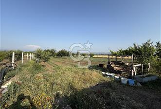 KEPSUT İHSANİYE MAH. ASFALTA SIFIR,TEL İLE ÇEVRİLİ 3.124m² TARLA