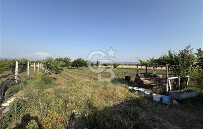 KEPSUT İHSANİYE MAH. ASFALTA SIFIR,TEL İLE ÇEVRİLİ 3.124m² TARLA