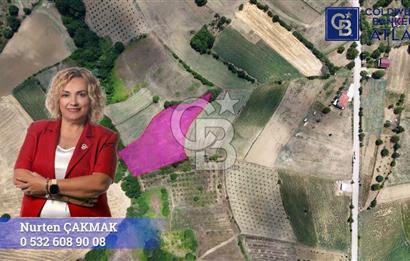 İZMİT YENİCE'DE SATILIK 4809M2 TARLA