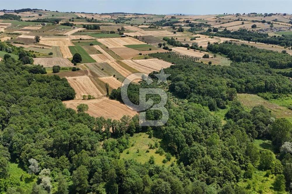 İZMİT AMBARCI'DA SATILIK 4285M2 TARLA