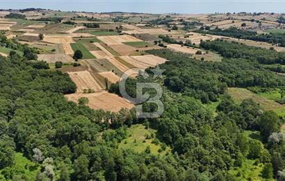 İZMİT AMBARCI'DA SATILIK 4285M2 TARLA