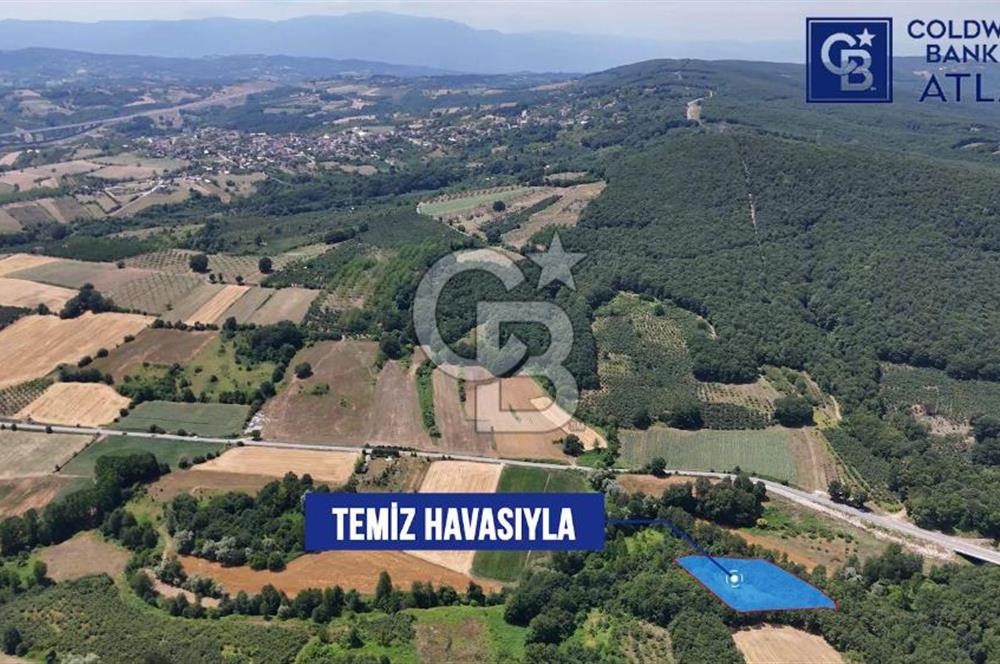 İZMİT AMBARCI'DA SATILIK 4285M2 TARLA